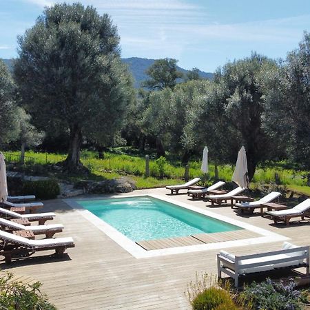 Domaine De Tappa - Casa Filicina Villa Sollacaro Exteriör bild