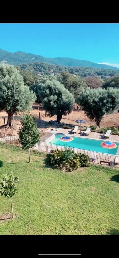 Domaine De Tappa - Casa Filicina Villa Sollacaro Exteriör bild