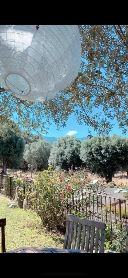 Domaine De Tappa - Casa Filicina Villa Sollacaro Exteriör bild