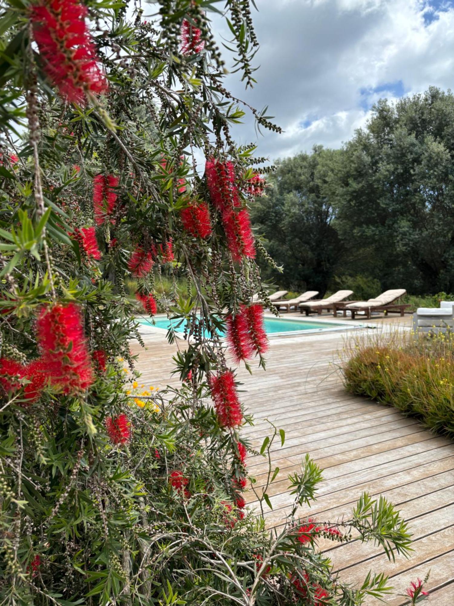 Domaine De Tappa - Casa Filicina Villa Sollacaro Exteriör bild