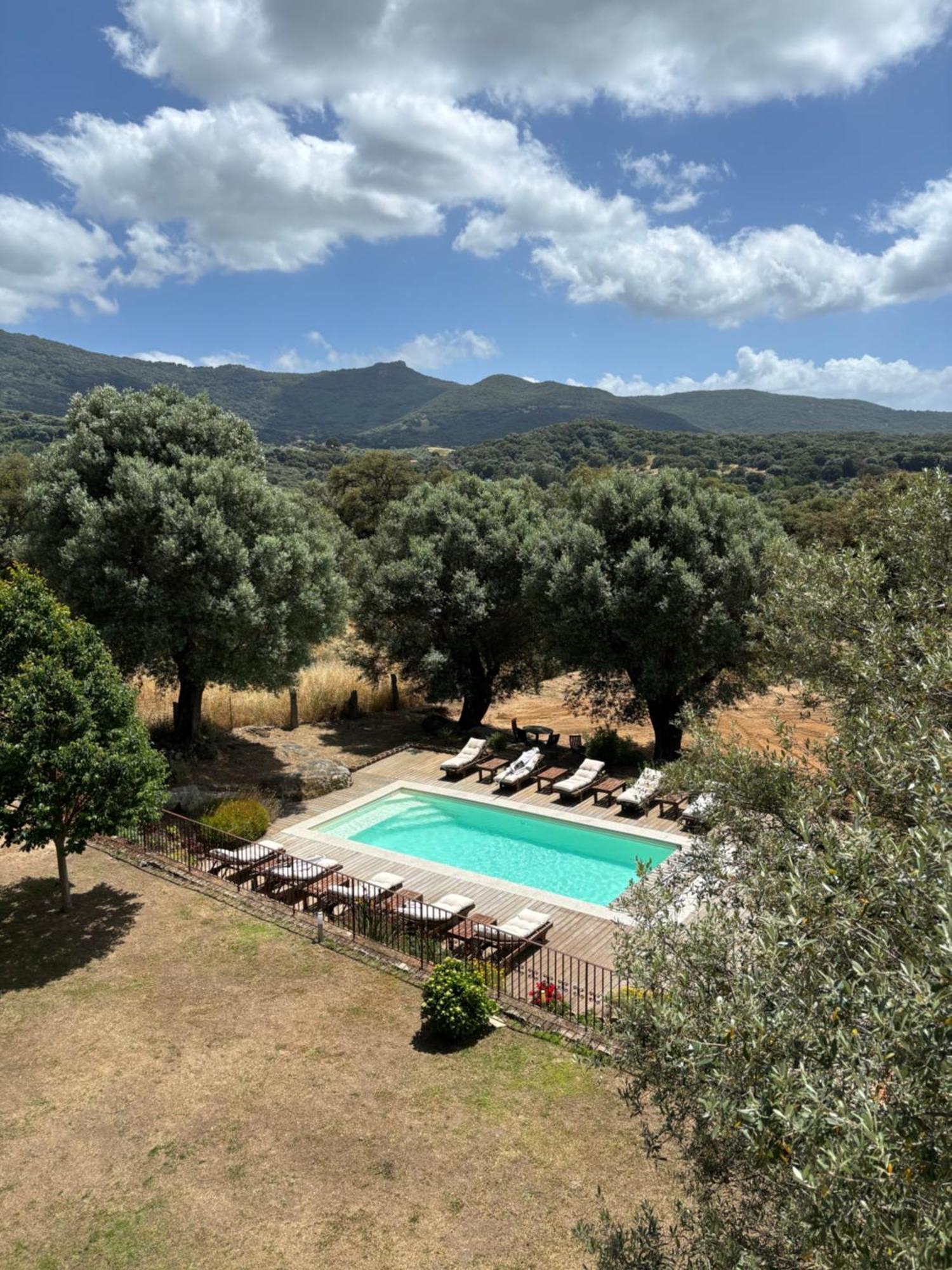 Domaine De Tappa - Casa Filicina Villa Sollacaro Exteriör bild