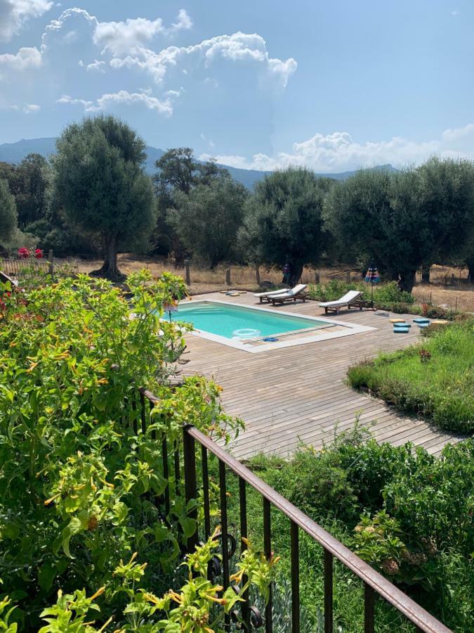 Domaine De Tappa - Casa Filicina Villa Sollacaro Exteriör bild