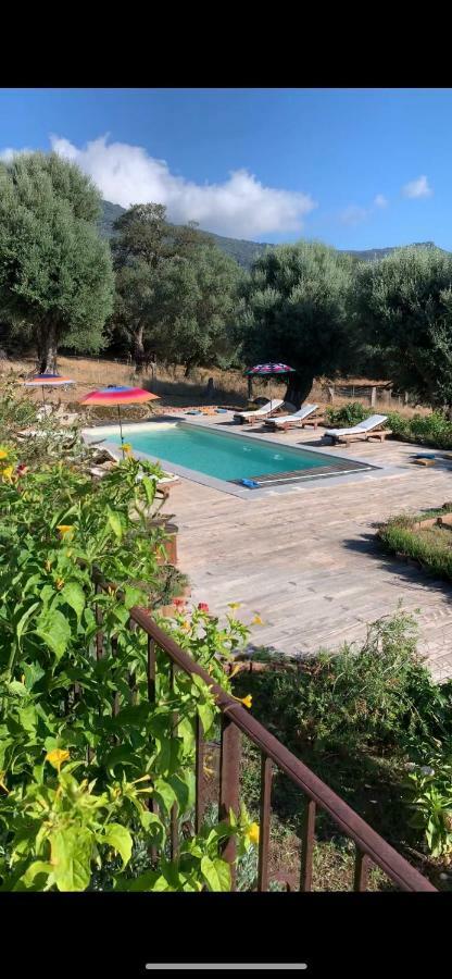 Domaine De Tappa - Casa Filicina Villa Sollacaro Exteriör bild