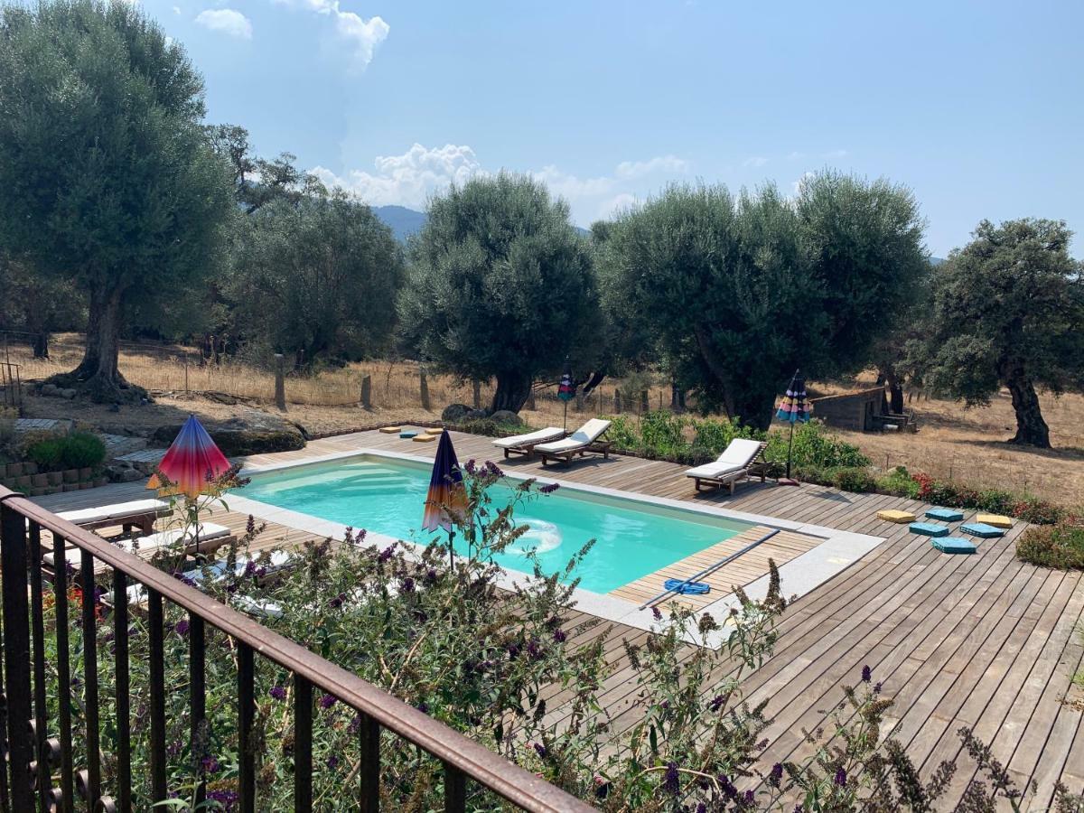 Domaine De Tappa - Casa Filicina Villa Sollacaro Exteriör bild